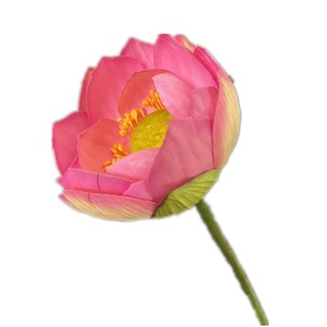 Ramo di Fiore di Loto Artificiale Fatto a Mano, Ramo di <span class=keywords><strong>Ninfea</strong></span> Finto per Decorazioni Floreali per Natale, Ritorno a Scuola, Negozi - Product Image 6