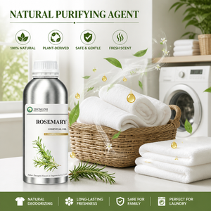 Agent purifiant naturel <span class=keywords><strong>Huile</strong></span> <span class=keywords><strong>essentielle</strong></span> de romarin (Rosmarinus Officinalis) pour des vêtements frais et un nettoyage domestique sûr - Product Image 1