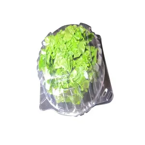 Food grade Clear Plastic Clamshell Lettuce Packaging For Sale