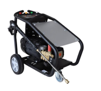 REDSUN Meilleure Vente Nettoyeur Haute Pression Électrique à Eau Froide 4350 PSI Robuste Nouvelle Machine à Laver les Voitures