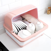 Égouttoir de cuisine à double niveau pour vaisselle et bols, en plastique, organisateur de séchage à 2 couches, gain de place sur comptoir, rangement d'ustensiles pour évier