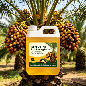 <span class=keywords><strong>Engrais</strong></span> liquide spécial <span class=keywords><strong>pour</strong></span> la phase de fruitification des palmiers à huile, augmente la teneur en huile et le rendement - Product Image 4