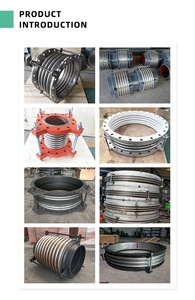 Mặt Bích Bộ Bù SS304 Khớp Nối Mở Rộng Dưới Nhiều Lớp Bằng Kim Loại Ss - Product Image 4