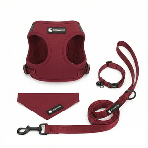 Conjunto de Arnés de Neopreno Personalizado para Perro, Correa de Lujo, Collar y Bolsa para Excrementos para Bulldog Francés, MOQ Bajo, Fabricante OEM ODM - Product Image 2