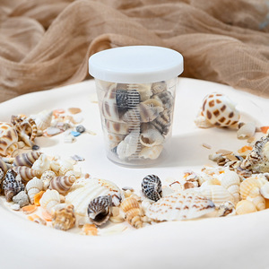 Perles de Coquillages Marins Miniatures Concassés, Coquilles Spirales d'Océan pour Résine, Bougie, Aquarium et Décoration de Bonsaï - Product Image 1