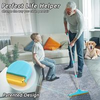 Râteau à poils pour animaux de compagnie breveté, réutilisable, avec manche réglable, pour tapis, coussins et tapis de sol, pour chats et chiens.