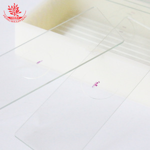 El cartílago hialurónico es un típico preparado biológico en diapositiva utilizados en investigación médica, enseñanza y observación. Tiene una clara definición. - Product Image 3