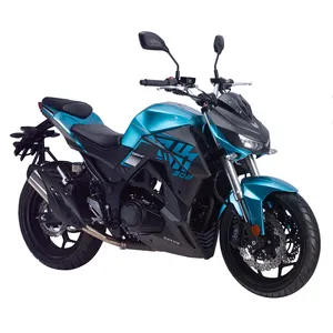Chain Drive Electronic Motorcycle 300cc Double Cylinder Motorcycle 300cc Motorcycle Engine