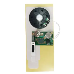 Mini Programmable Voice Audio Recording Sound Chip Module For Musical Greeting Card