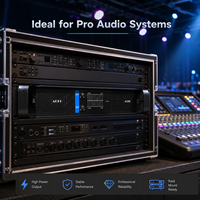 Amplificateur de puissance professionnel 2 canaux 800W classe H, amplificateur audio DJ haute puissance pour caissons de basses, enceintes sonores, altavoces