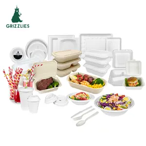 Produits biodégradables biodégradables, respectueux de l'environnement, glace, assiette en papier, vaisselle de table