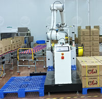 Système de palettisation robotique entièrement automatique Chargement et déchargement du robot de palettisation pour conteneur