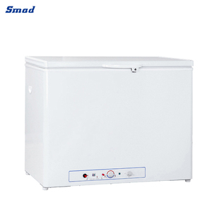Réfrigérateurs et congélateurs à gaz Smad à température unique et dégivrage manuel pour DSG-200B1E - Product Image 3