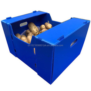 PP Nhựa Sóng Có Thể Gập Lại Khoai Tây Bao Bì Cà Chua Bông Cải Xanh Hộp Lưu Trữ Rau Polypropylene Corflute Container Nhựa - Product Image 1