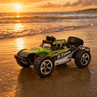 Voiture télécommandée RC Buggy tout-terrain 2.4G avec système de suspension, modèle à l'échelle 1:16, pour intérieur/extérieur STORM BG1513