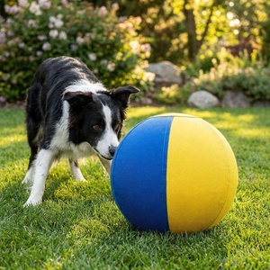 Palla da Gioco per Cani Pastori, Cavalli e Gatti, per Esterni, con Copertura in Nylon Resistente Rimovibile e Lavabile, con Pompa, Palla Anti-Scoppio - Product Image 3