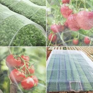 6x9ft Insectennet/<span class=keywords><strong>2</strong></span>-pak Tuingroenteplanten Vogelplaag Insectennet Beschermen Fruitboombedekkingen Anti Insectengaas - Product Image 4