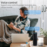 Sensor Pintu Wifi Zigbee Pintar Detektor Magnetik Detektor Pintu Terbuka Tertutup Dukungan Aplikasi oleh Google Home Sensor Pintu Windors