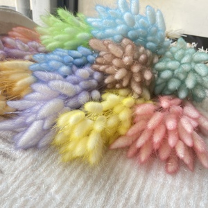 Vente en gros Queue de lapin conservée Fleur sèche Queues de lapin séchées <span class=keywords><strong>Lagurus</strong></span> Ovatus pour la décoration de mariage - Product Image 2