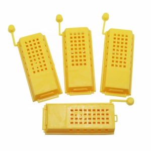 Venta al por mayor cautiverio casa Bee <span class=keywords><strong>reina</strong></span> jaula de transporte jaula de plástico Equipo de apicultura de <span class=keywords><strong>la</strong></span> herramienta - Product Image 1