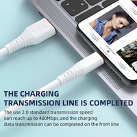 Câble de données de charge rapide de haute qualité 1M 5A en matériau TPE OEM/ODM USB/TYPE-C pour téléphones mobiles/tablettes/casques