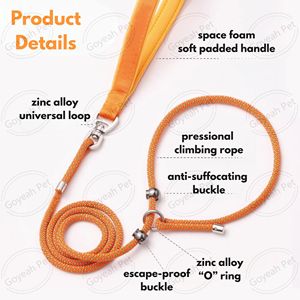 <span class=keywords><strong>Laisse</strong></span> de dressage anti-étranglement <span class=keywords><strong>pour</strong></span> chien, anti-emmêlement 360° °   <span class=keywords><strong>Laisse</strong></span> d'entraînement <span class=keywords><strong>pour</strong></span> chien pivotante, résistance à la rupture 500 kg, avec poignée rembourrée - Product Image 3