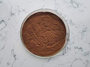 タンポポパウダー中国工場提供 - Product Image 2