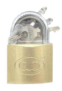 Samhoo diseño único Cadeado contenedor sello carga cerradura de seguridad tamaño personalizado Candado candado de hierro con llave - Product Image 2