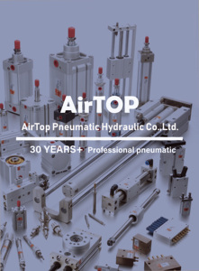 Petits cylindres pneumatiques compacts en aluminium ADVU, pièces pneumatiques de qualité supérieure - Product Image 6