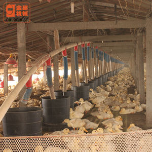 New Condition Automatic <strong>Duck</strong> and Goose Bucket Breeding System <strong>Feeder</strong> for <strong>Ducks</strong> Geese Farm Use - Product Image 5