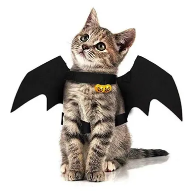 Asas De Morcego Engraçado Gato Cão Roupas Pet Cosplay Traje Halloween Pet Traje