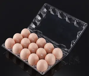 Manufacturers Direct Selling Good Quality Transparent PET Plastic Egg Tray Boxes For Food