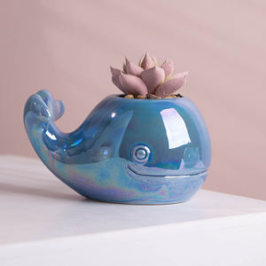 Mini plantes artificielles en <span class=keywords><strong>pot</strong></span>, décoration de bureau, fausses plantes en plastique, <span class=keywords><strong>baleine</strong></span> en céramique, 1 pièce - Product Image 6