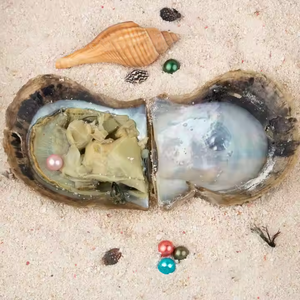 Love Wish Natural <span class=keywords><strong>de</strong></span> agua dulce redonda cultivada Akoya Pearl Oyster 6-8mm 4A <span class=keywords><strong>Perlas</strong></span> sueltas <span class=keywords><strong>de</strong></span> calidad Regalo <span class=keywords><strong>de</strong></span> fiesta envasado al vacío - Product Image 2