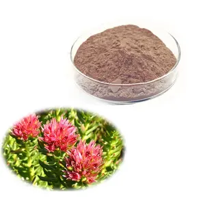 3% 8% 10% Rhodiola Rosea Powder Extract Salidroside Rhodiola Rosea Root Extract Salidroside