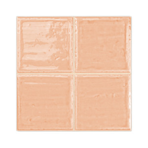 Piastrelle Pre-Tagliate Boston Coral 20x20 Formato 10x10 per Uso su Pareti e Pavimenti - Product Image 4