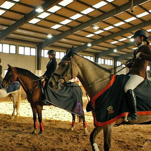 Metal Free Span Light Building Steel Structure Frame Building Prefabricated Indoor Horse Riding Arena Barn Shed House <strong>Hall</strong> - Product Image 3