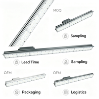 Lámpara LED Lineal para Canchas Deportivas Chino con Garantía de 3 Años, 200W, Ángulo Ajustable de 90 Grados, de Aluminio, para Tenis, con Clasificación IP65, 6000K