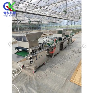 Seminatrice Automatica per Vassoi a Cavità, Macchina ad Alta Efficienza per la Semina di Meloni, Frutta, Verdura e Fiori - Product Image 6