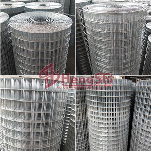 Maille de fil métallique galvanisé soudé en gros, 1/2 pouce * 4 pouces, après soudage, pour <span class=keywords><strong>cage</strong></span> à oiseaux, maille métallique - Product Image 4