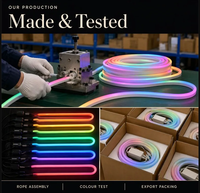 Bande LED néon intelligente à changement de couleur, basse tension, port USB, contrôle par application mobile, activation musicale, contrôle sonore, éclairage extérieur IP65