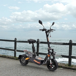 Motor sin Escobillas EEC de 2000W 3000W para Scooter de Movilidad, Bicicleta con Llanta de 10 Pulgadas, Certificación CE, Alcance de 60 km, R-ES103 2000W 48V 2 Ruedas - Product Image 6