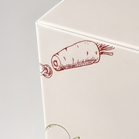 Boîte en carton pliable personnalisée pour l'emballage des aliments pour animaux de compagnie avec impression en couleur intégrale