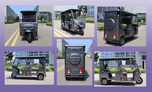 دراجة نارية كهربائية ثلاثية العجلات مخصصة للبالغين بقوة 500 واط و1500 واط و2000 واط مع كابينة وسقف ومقصورة للركاب - Product Image 4