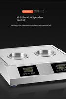 Cuiseur vapeur commercial rapide pour boulettes de soupe avec fonction de maintien au chaud et minuterie – Équipement de restauration pour la maison et les restaurants