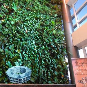 Proveedor Chino de Jardín Artificial Vertical Hidropónico para Colgar en la Pared - Product Image 5