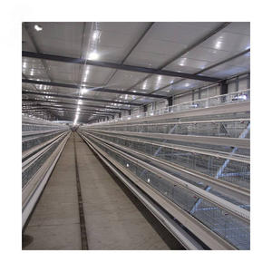 قفص الدجاج بأربعة طبقات من النوع سهل التركيب بشبكة سلكية بسيطة ، قفص الدجاج لمزرعة الدواجن - Product Image 3