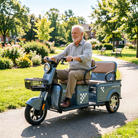 Tricycle électrique d'usine pour personnes âgées avec moteur 800W Batteries 48V Véhicule électrique à 3 roues pour une utilisati