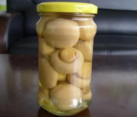 Verwerkingslijn voor ingeblikt fruit en groenten