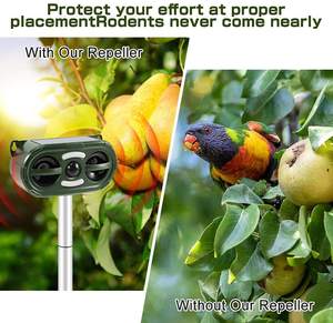 Répulsif à ultrasons solaire IP66 avec design écologique, fonctionnement 12 heures sur 24 pour le contrôle des animaux - Product Image 5